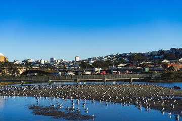 Morning light in San Francisco