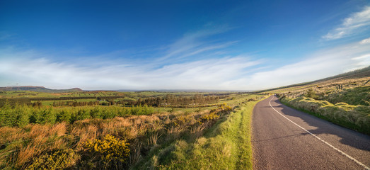 Narrow paved road with a white line facing the perspective of the Irish landscape