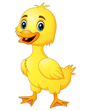 Little duck make a happy