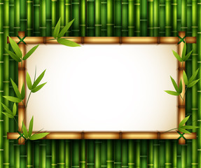 Fototapeta na wymiar Bamboo trees in frame nature
