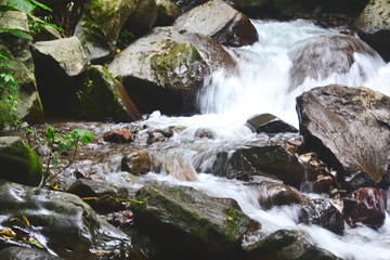 Rivers and rocks form small waterfalls