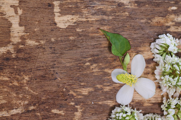 rough wooden table and wild flowers, background