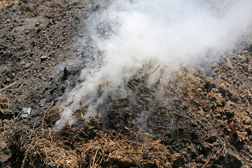 Smoke from charcoal in a traditional manner forest.
