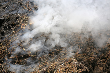 Manufacture of charcoal in a traditional manner in the forest.