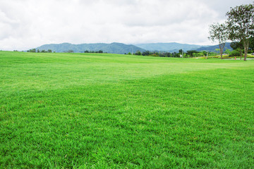 Green lawns and mountains.