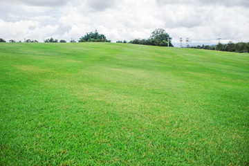 Hill lawn in park.