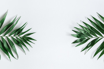Naklejka na ściany i meble Tropical palm leaves on gray background. Summer concept. Flat lay, top view, copy space