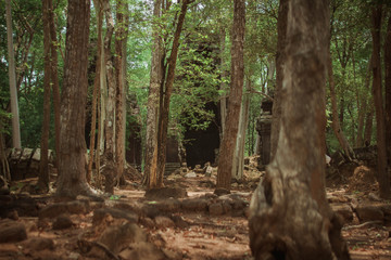 Temple in a Forest