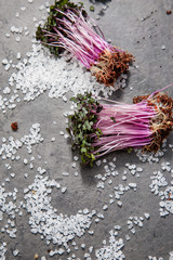 two small bunches of beet sprouts on a gray stone background with large pieces of sea salt