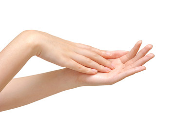 Beautiful woman's hands on the white background