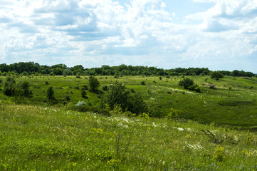 зеленая трава на фоне зеленого холма и голубого неба с облаками