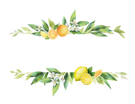 Watercolor vector banner of citrus fruits and leaves.