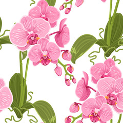 Pink purple phalaenopsis orchid flowers pattern © imaginarybo