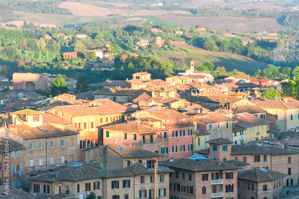 Wall mural ancient city of siena, tuscany, italy. top view