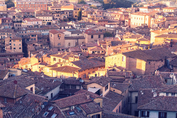 Fototapeta na wymiar Roof tops of Siena, Tuscany, Italy