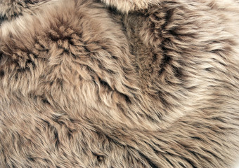 Brown sheepskin