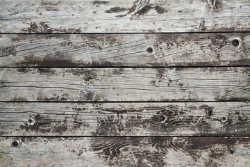 Pattern of wooden structure for a background and texture, in black and white tone