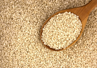 White sesame in wooden spoon