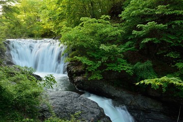 新緑の中の滝