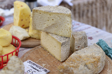 Heads of home made chevre cheese on the table.