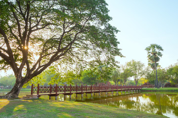 Obraz na płótnie Canvas Beautiful park in Thailand