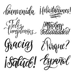 Translated from Spanish handwritten phrases Welcome,Thank You, Why etc. Vector calligraphy set on white background.