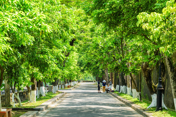 Scenic green shady street at the Imperial City, Hue, Vietnam