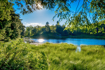 Gatineau park near Ottawa