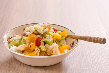 Panzanella Brotsalat mit Gurke, Fenchel, Paprika und Zwiebel