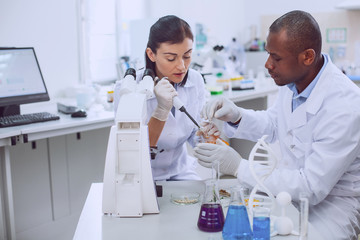 Working together. Intelligent skilled researcher conducting a test and her colleague helping her