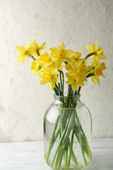 Yellow narcissus in jar