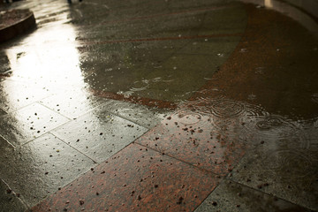 Rain drops on the paving tiles in the city