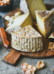 Cheese platter with cheese assortment on wooden board over grey concrete background, selective focus, vertical composition. Party or gathering eating concept