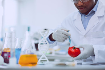 Great tomatoes. Inspired experienced biologist wearing a uniform and testing tomatoes