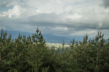 Green spring landscape