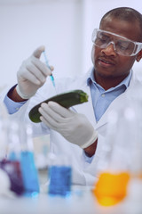 Perfect quality. Inspired skilled biologist wearing a uniform and testing a marrow squash