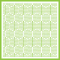 Abstract green lines on white background, Vector illustrator