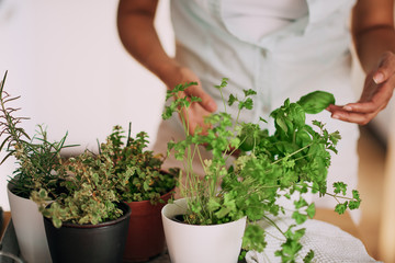 Beautiful mixed race woman gardening at home.