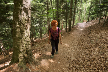 Naklejka na ściany i meble Woman hiking on a mountain trail