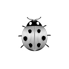 Fototapeta premium Black and white striped elegant ladybug insect, vector