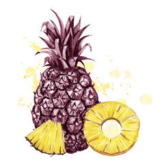 Watercolor illustration of juicy pineapple.