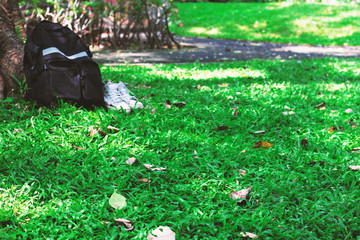 In the park