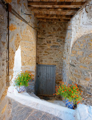 Fototapeta na wymiar door and flowers pots under a vintage arch