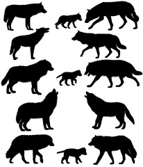 Naklejka premium Collection of silhouettes of wolves and wolf-cubs