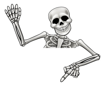 Cartoon Skeleton Images – Browse 104,213 Stock Photos, Vectors, and Video |  Adobe Stock