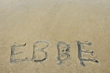 Low tide of north sea with the word 