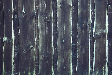 Obraz premium Wooden boards texture. Rough natural weathered wood backgound.