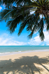Obraz na płótnie Canvas Beautiful tropical beach with coconut palm at summer time