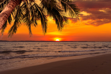 Naklejka na ściany i meble Beautiful sunset over the sea with coconut tree at summer time