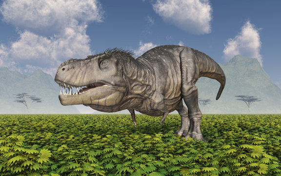 Tyrannosaurus Rex in einer Landschaft